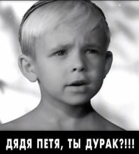 Забавная реакция пса на имбирь