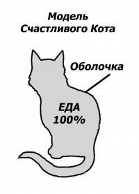 20+ самых разных вещей в разрезе