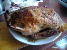 Скусный птиц. С гречкой и сушёными грибами.