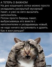 Есть варианты! (для оперативности можно "парашу" выносим через окно * на газон ресторана
* окно то есть?
