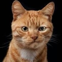 Когда получаешь неожиданно много внимания