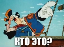 Звёзды?