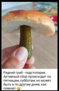 Любителям "тихой охоты" посвящается: грибной тест