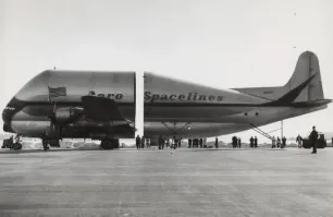 "беременная гуппи"
юмористы, блин