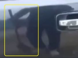 Так у него лопата в руке, уеб.., дал бы по лобовухе, а лучше по комполу! Только бы спасибо сказали.