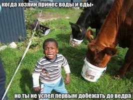 Пивная трагедия