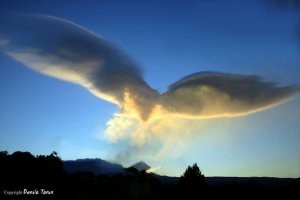 25 примеров парейдолии, доказывающих, что наш мозг способен придумать что угодно