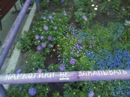 И не выкапывать!!!