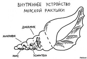 20+ самых разных вещей в разрезе