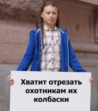Какие грибы из Красной книги нельзя собирать?