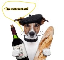 Вакансия месяца: в Новосибирске ищут кандидата на собачью работу с зарплатой от 270 тысяч рублей