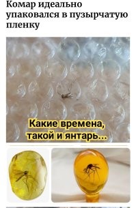 15 фото неожиданных штук, которые можно описать выражением: «Ого, оказывается, так бывает»