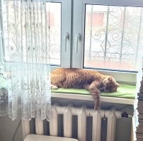 И не забывайте про отдых :)
