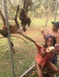 "Когда ты больше не хочешь фотографироваться с обезьянами"... Не понял, а где люди то?