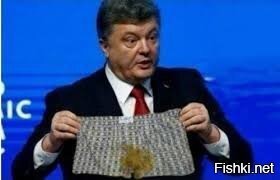 Толстенький опоссум не дал американцам поиграть в футбол