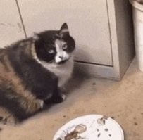 А я чё? Я и сам офигел!
