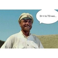 У кошек есть 300 выражений морды, которые они используют при общении