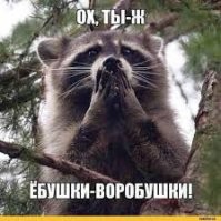 Инспекторы ДПС начали штрафовать водителей за дефлекторы
