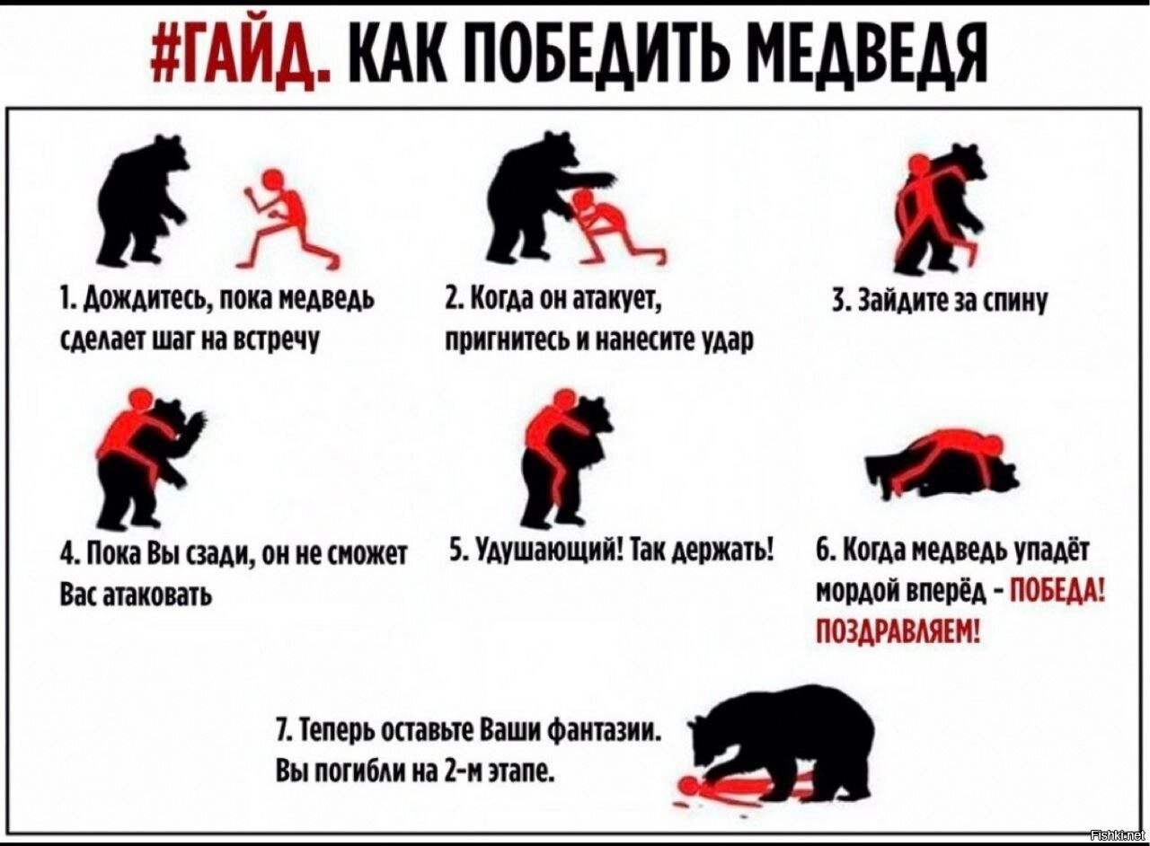 Пока есть где. Что делать если напал медведь. Как победить медведя Мем. Как бороться с медведем Мем. Гайд как победить медведя.