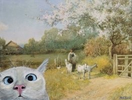 У кошек есть 300 выражений морды, которые они используют при общении