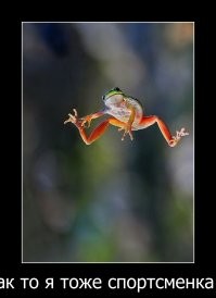 Спортивные и&nbsp;околоспортивные девушки в&nbsp;хорошей форме - 2