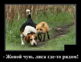 Похоже на это ...