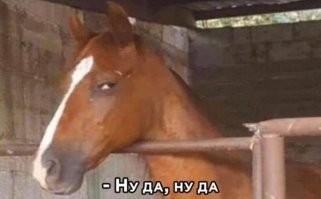 «Он там не еврея искал»: дагестанец раскрыл секрет - для чего на самом деле его земляк заглядывал в турбину самолёта