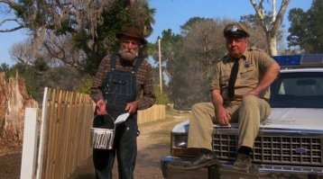 Взрослому такой забор как раз по пояс, точнее заборчик.