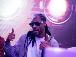 В Тульской области запущен крупнейший в Европе завод по переработке семян конопли