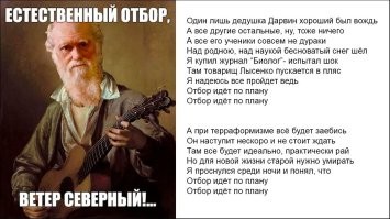 Мать не заметила, как 5-летний ребёнок выпал из машины, и переехала его