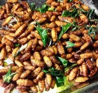 Ел жареных шелкопрядов, китайская кухня, все дела. Было вкусно. Ужасающиеся поеданию насекомых однозначно неправы. Пока такое питание не навязывается вместо животного мяса, вообще никаких проблем нет и не будет.