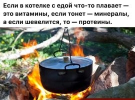 Вкусно и грустно: в Ставрополье открылась ферма по выращиванию съедобных сверчков
