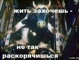 Явно-ж охота...