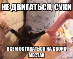"Наверное, съел что-нибудь"