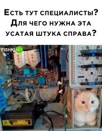 Мне больше интересно, что тут с кулером и почему он так установлен)