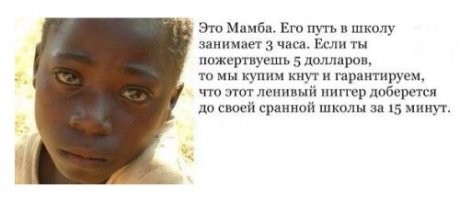 Популярный блогер обеспечил водой 500 тысяч человек в Африке, а его за это обвинили в дискредитации местных властей и расизме