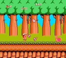 А про легендарную Adventure Island почему автор не сказал?