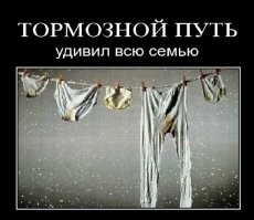 Знатно наверное там кирпичей отложили...