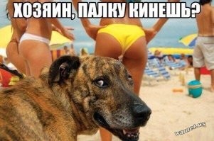 Всё вразнобой&nbsp;