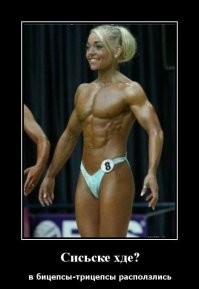 Лови :sarcastichand: