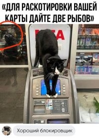 Ничего, что там его собрат стоит?