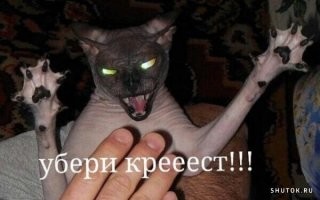 Она бы и показала)