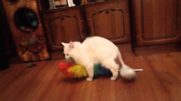 контент для Леопольда-девиатора...