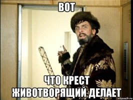 "Поздравляем, у вас мальчик": реакция кота на своего детёныша
