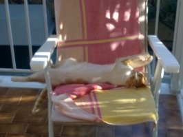 После обеда