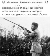 Москвичка обратилась в полицию из-за упавшей в капюшон вороны