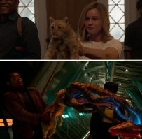 Просто гифки, всякие и&nbsp;разные