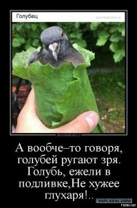 Не ищите здесь смысл. Здесь в основном маразм