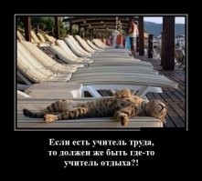 Релакс, доведённый до уровня кот