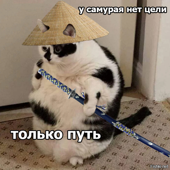 Хозяйка спрятала торт на холодильник, чтобы кот не садился на него